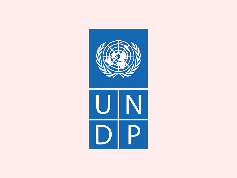 UNDP logo